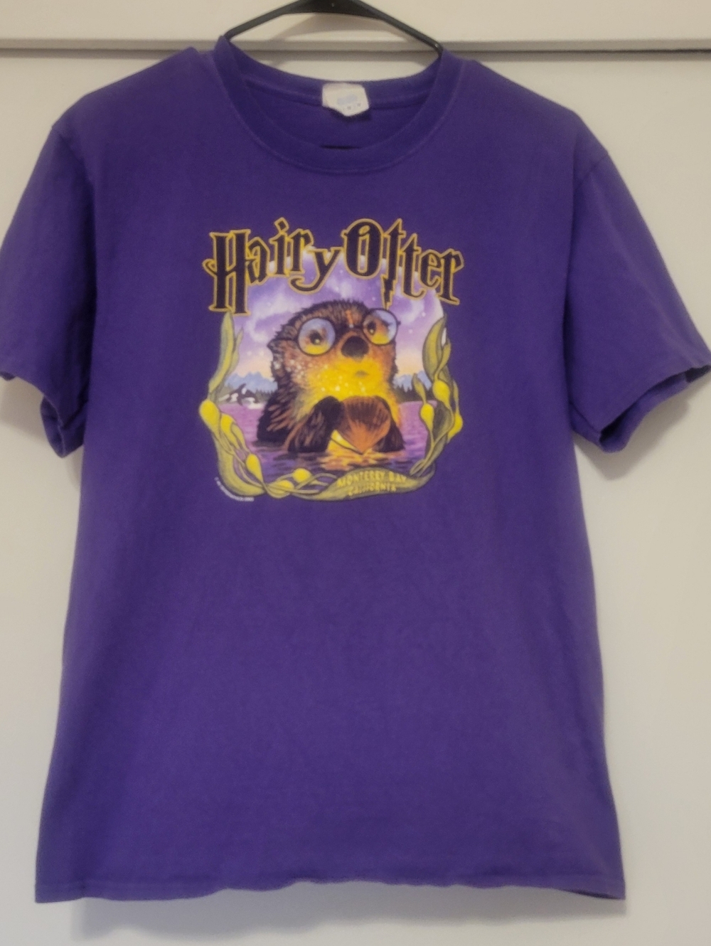 Hairy Otter Graphic Tee Purple Monterey Bay California Funny Shirt Size M